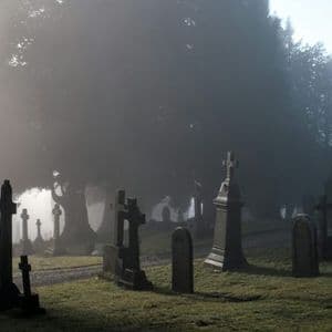 Altcoin Carnage Ahead? 99% Could Be Wiped Out, Analyst Says