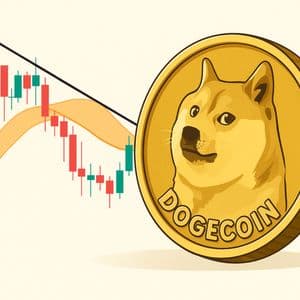 Analyst Starts Buying Dogecoin Again As Price Hits Critical Level