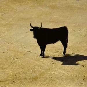 Bitcoin Liquidity Rotation Turns Bullish Again As Stablecoin Shelter Starts To Unwind