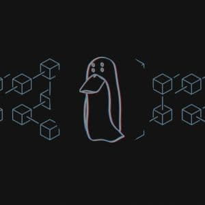 Could this $19M crypto theft mastermind be on the run?