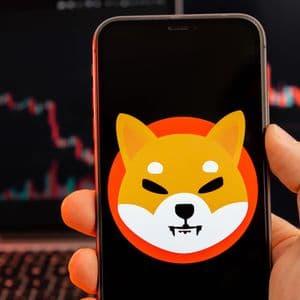 Shiba Inu (SHIB) Uptrend is Over: Price Dives Below Key Trendline Support