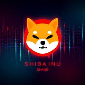 +283% Shiba Inu (SHIB) Spot Flow: Recovery Might Be Closer Than It Seems