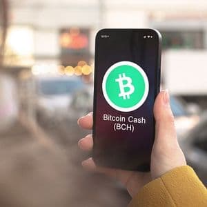 Bitcoin Cash price prediction: downside risks loom as BCH dips to $300