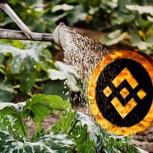 DxSale loses $7.3 million in BNB Chain hack