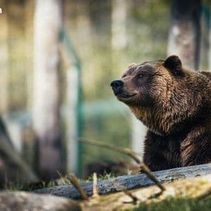 Cryptoquant’s Ki Young Ju Warns Bitcoin’s Bear Market Could Run Into Early 2027