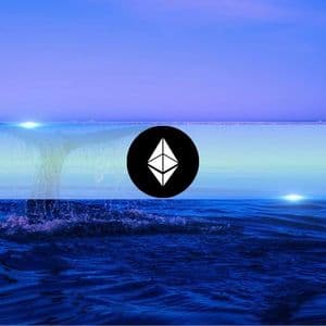 Ethereum’s Largest Wallets Now Control Over 22% of Supply Amid Fresh Accumulation Wave
