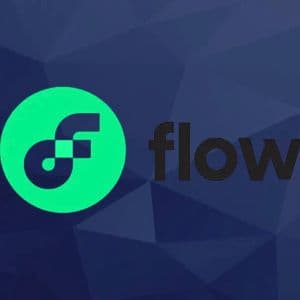 Flow sues Korean exchanges to block token delisting