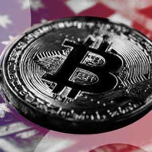 You Can Now Read the US Constitution via the Bitcoin Blockchain