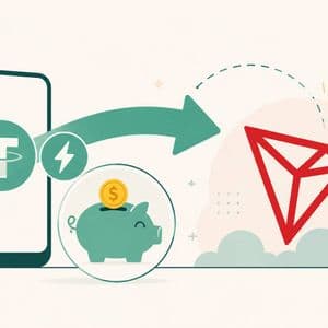 World Cup Betting With USDT: Wallet Setup, Live Markets, and Early Cash Out